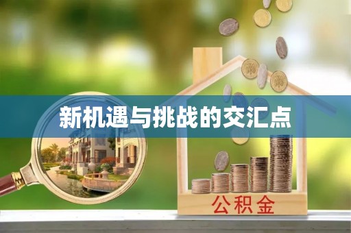 横山新机遇与挑战的交汇点