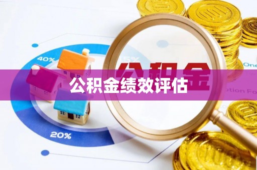 横山公积金绩效评估